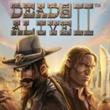 Dead or Alive II slot
