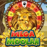 Mega Moolah slot